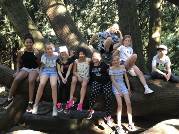 A group of pupils sat in a tree in a woodland in a foreign country,