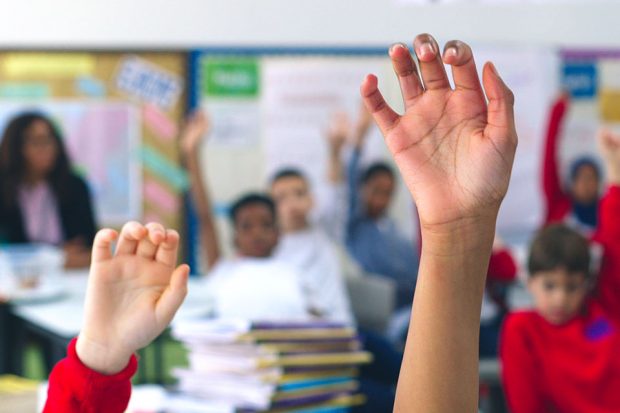 Pupils in a primary school lesson