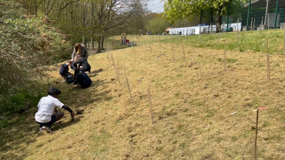 ARM Environments featured on ITV News, teaching at Elmgreen School