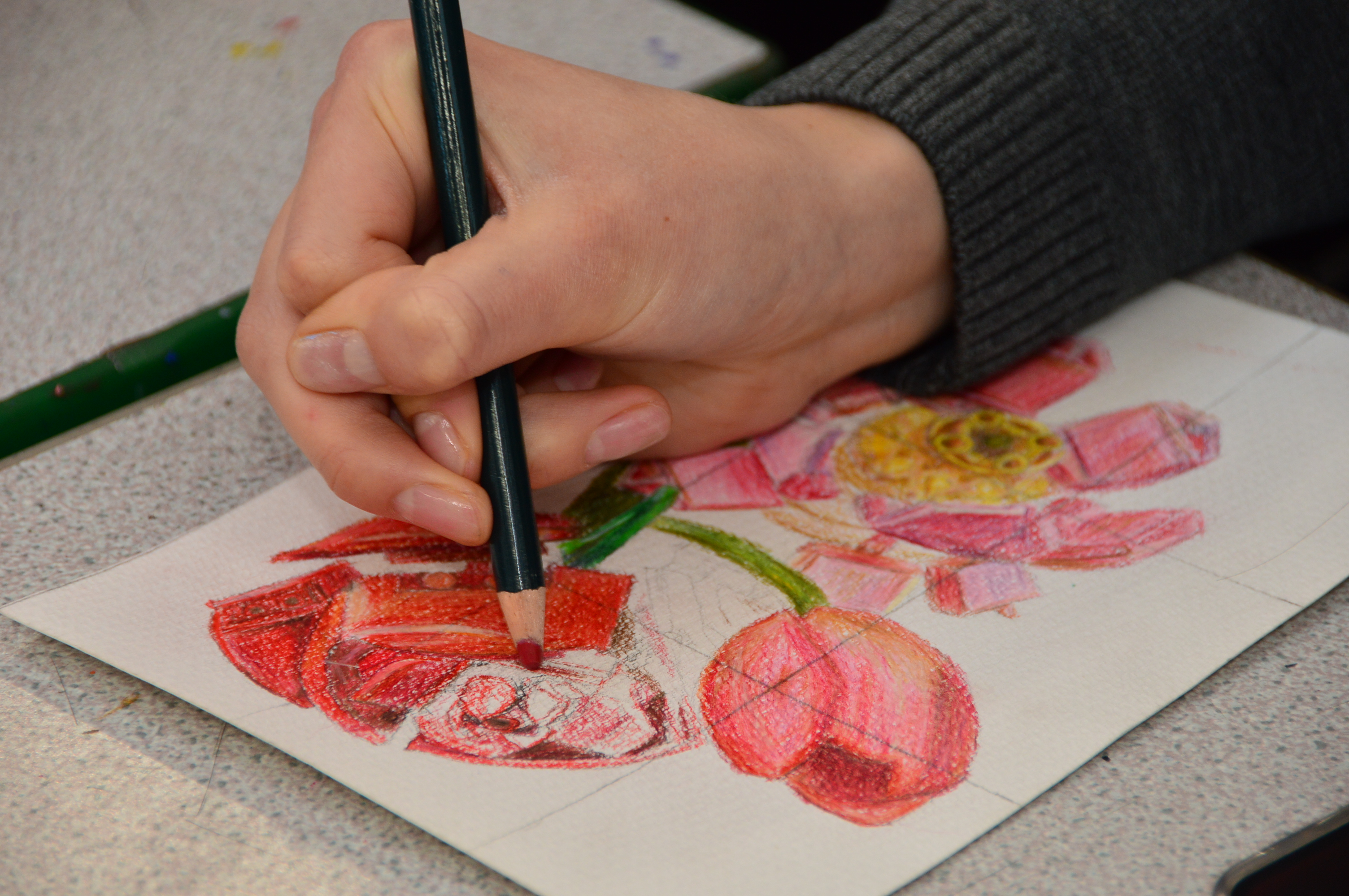 Person holding a pencil, drawing a rose