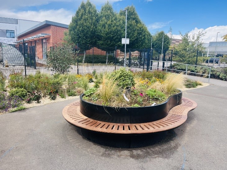 Transforming a flooded space into a thriving eco-garden – Teaching